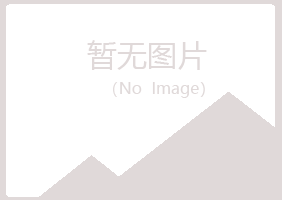 兴山区倾城电讯有限公司